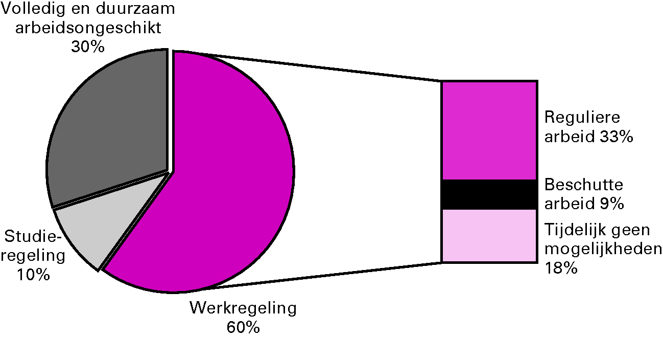 Grafiek onderverdeling Wajonggerechtigden