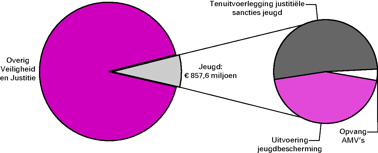 Realisatie begrotingsuitgaven Veiligheid en Justitie € 11 438,5 miljoenart. 14 Jeugd 7,5%