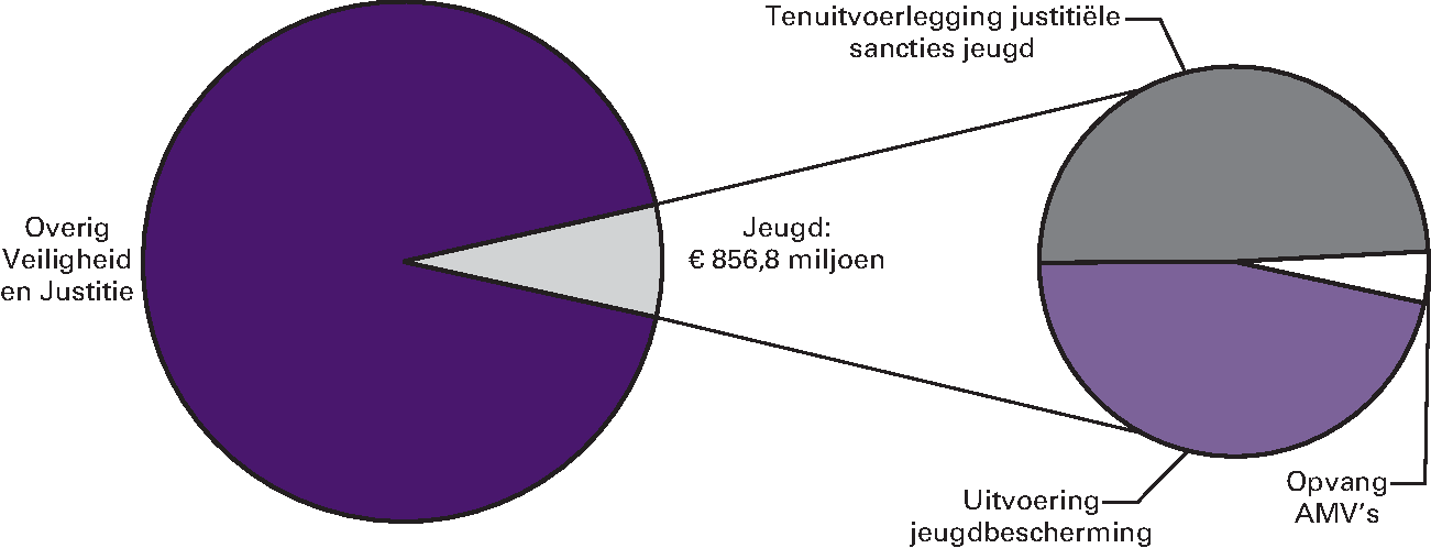 Realisatie begrotingsuitgaven Veiligheid en Justitie € 11.467,3 miljoen art. 14 Jeugd 7,5 % 