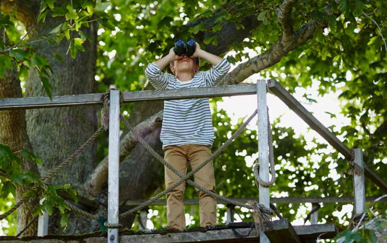 afbeelding-voorpagina-17eRapport-SBR